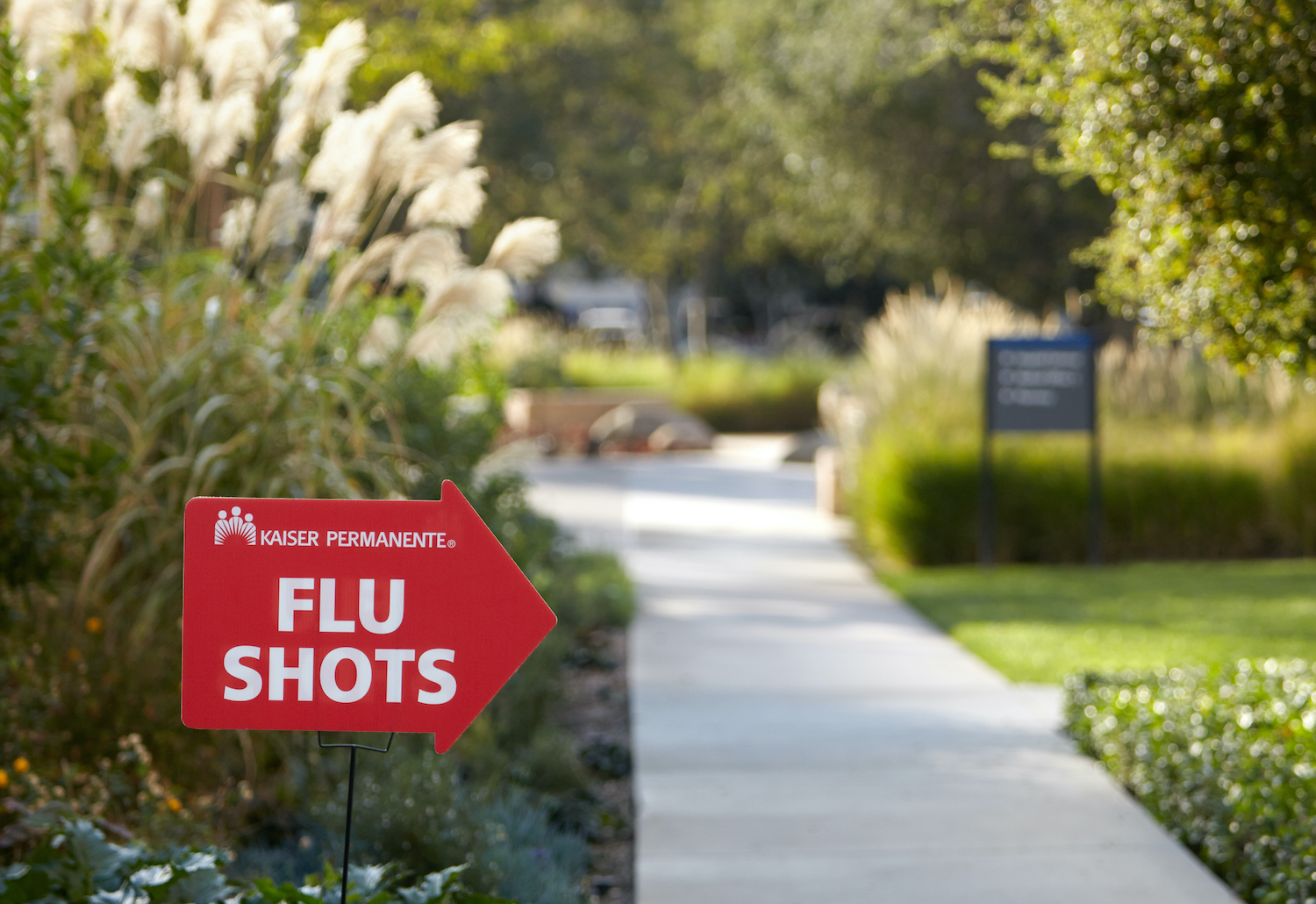 It’s flu season: What you need to know about the research