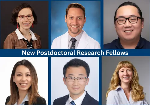 Image for New DOR postdocs delve into an array of research areas story