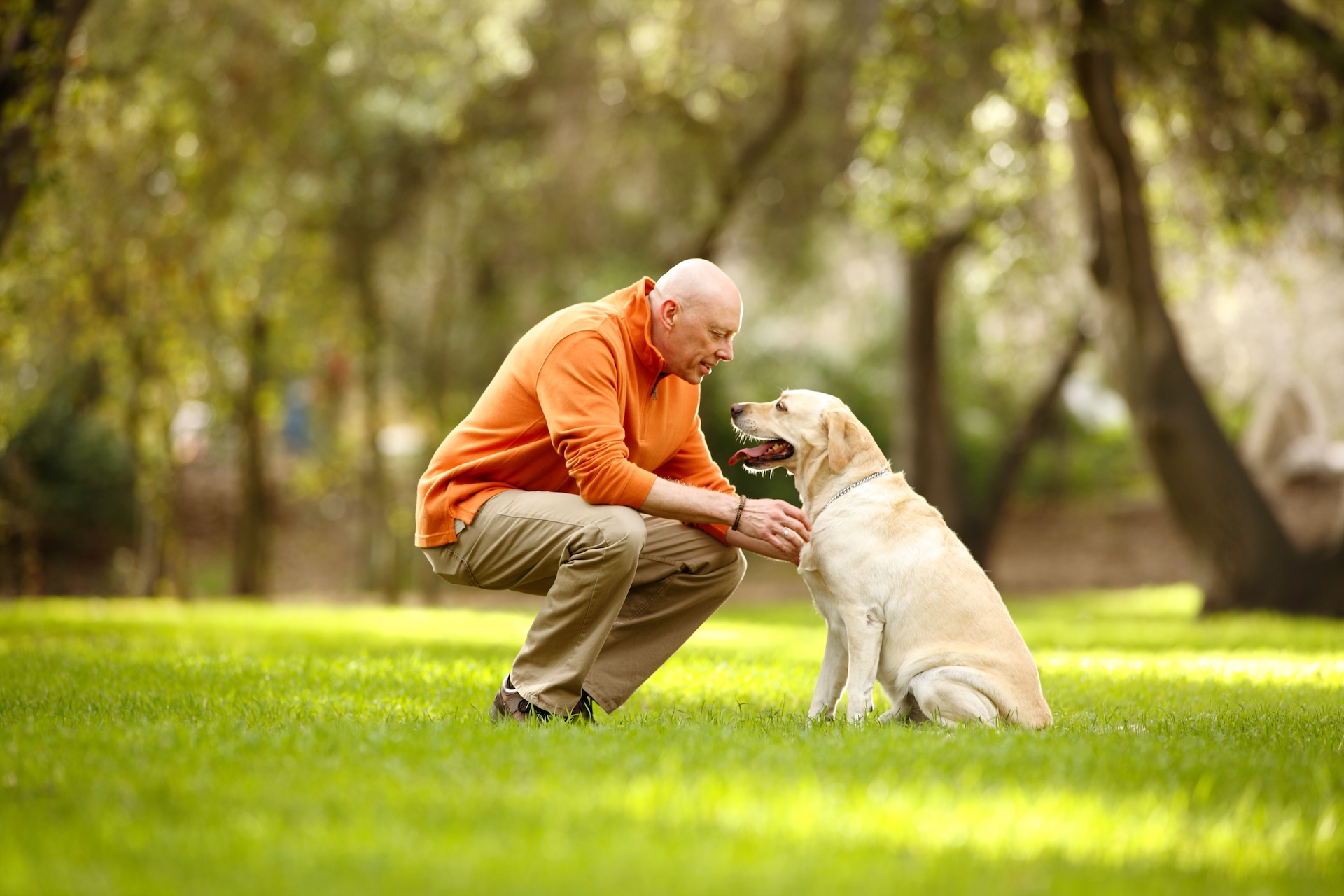 Image for Delayed treatment of HIV linked to greater risk of dementia story
